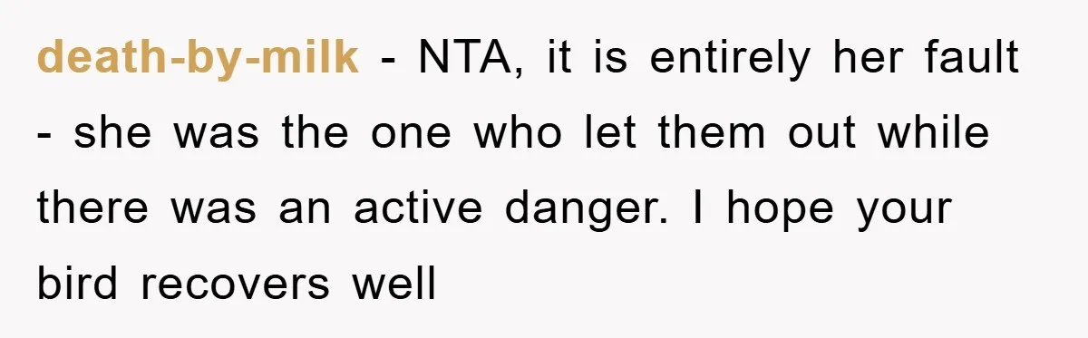 death-by-milk − NTA, it is entirely her fault - she was the one who let them out while there was an active danger. I hope your bird recovers well