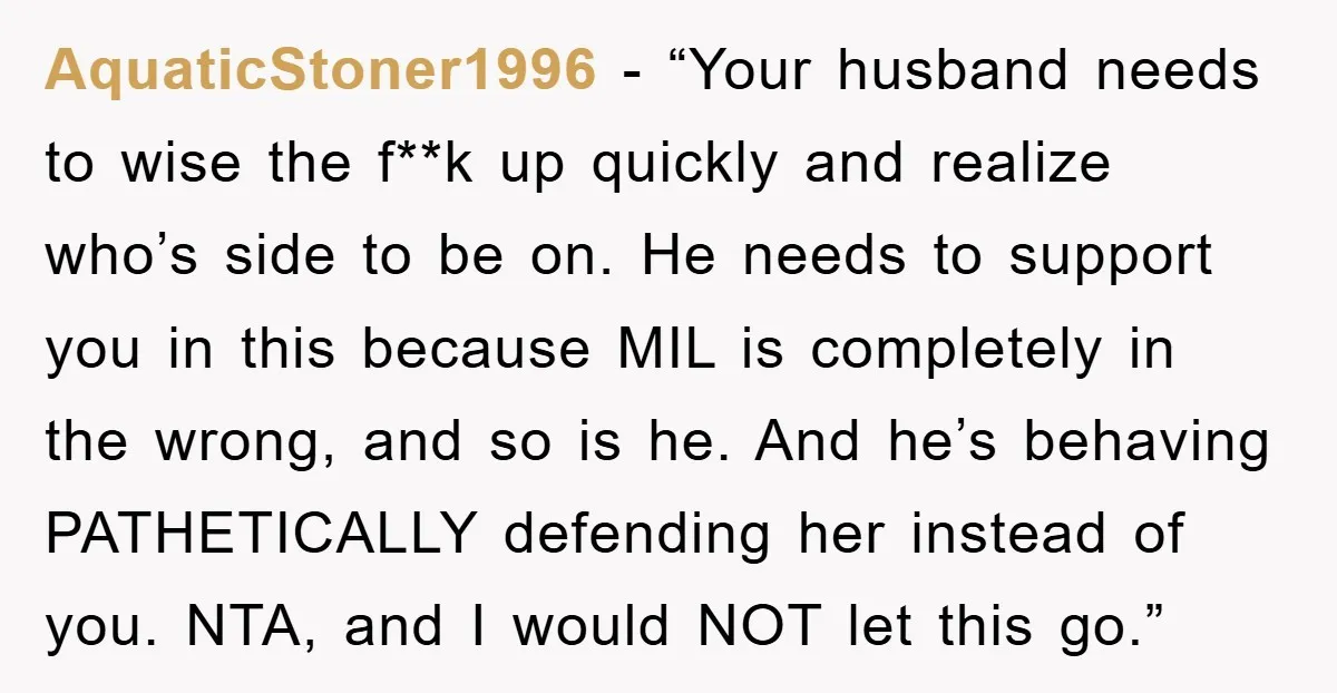 AquaticStoner1996 - “Your husband needs to wise the f**k up quickly and realize who’s side to be on. He needs to support you in this because MIL is completely in...
