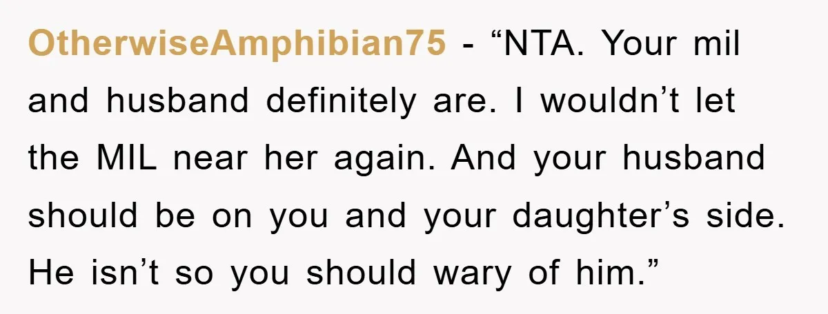 OtherwiseAmphibian75 - “NTA. Your mil and husband definitely are. I wouldn’t let the MIL near her again. And your husband should be on you and your daughter’s side. He isn’t...