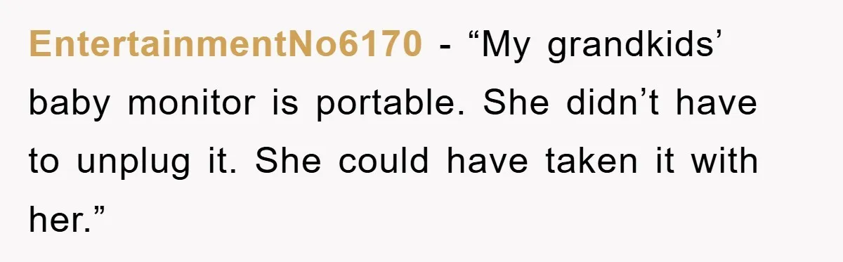 EntertainmentNo6170 - “My grandkids’ baby monitor is portable. She didn’t have to unplug it. She could have taken it with her.”