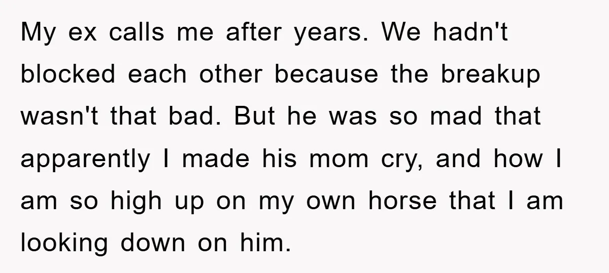 My ex calls me after years. We hadn't blocked each other because the breakup wasn't that bad. But he was so mad that apparently I made his mom cry, and...