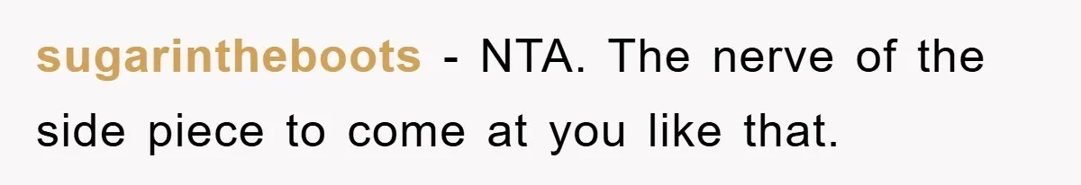 sugarintheboots − NTA. The nerve of the side piece to come at you like that.