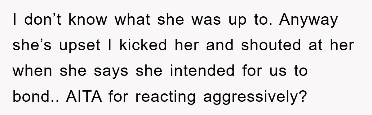 I don’t know what she was up to. Anyway she’s upset I kicked her and shouted at her when she says she intended for us to bond.. AITA for reacting...