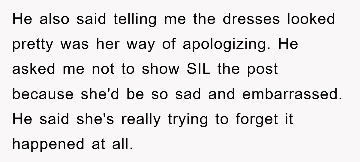 He also said telling me the dresses looked pretty was her way of apologizing. He asked me not to show SIL the post because she'd be so sad and embarrassed....