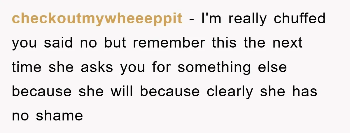 checkoutmywheeeppit − I'm really chuffed you said no but remember this the next time she asks you for something else because she will because clearly she has no shame