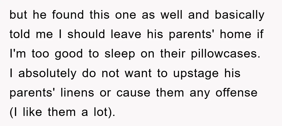 but he found this one as well and basically told me I should leave his parents' home if I'm too good to sleep on their pillowcases. I absolutely do not...