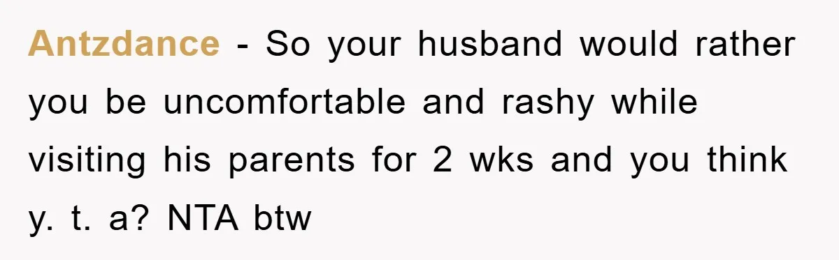 Antzdance − So your husband would rather you be uncomfortable and rashy while visiting his parents for 2 wks and you think y. t. a? NTA btw