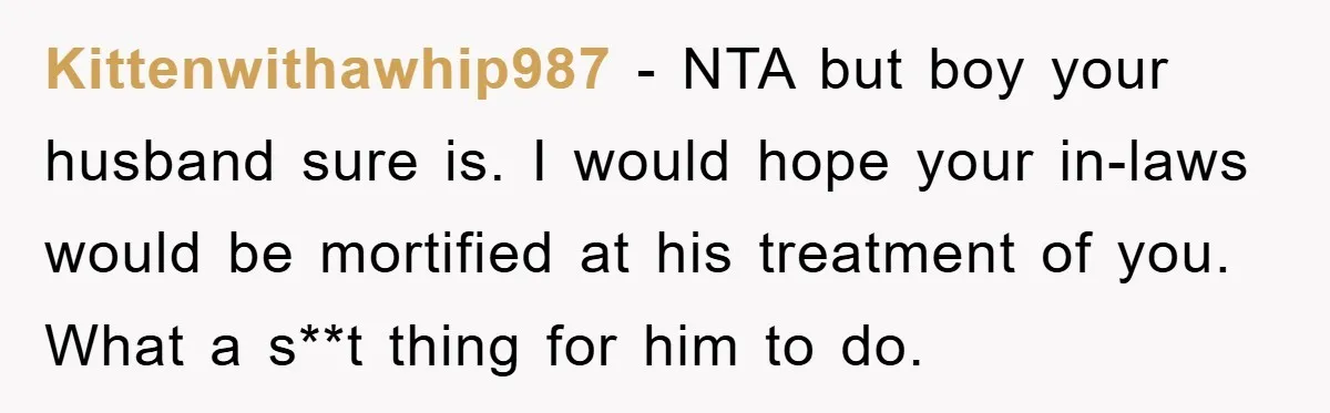 Kittenwithawhip987 − NTA but boy your husband sure is. I would hope your in-laws would be mortified at his treatment of you. What a s**t thing for him to do.