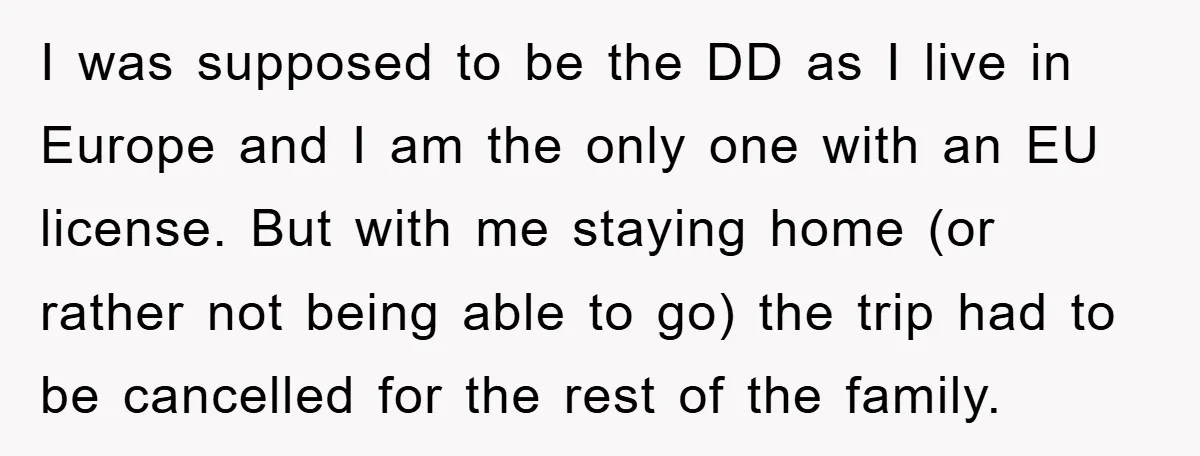 I was supposed to be the DD as I live in Europe and I am the only one with an EU license. But with me staying home (or rather not...