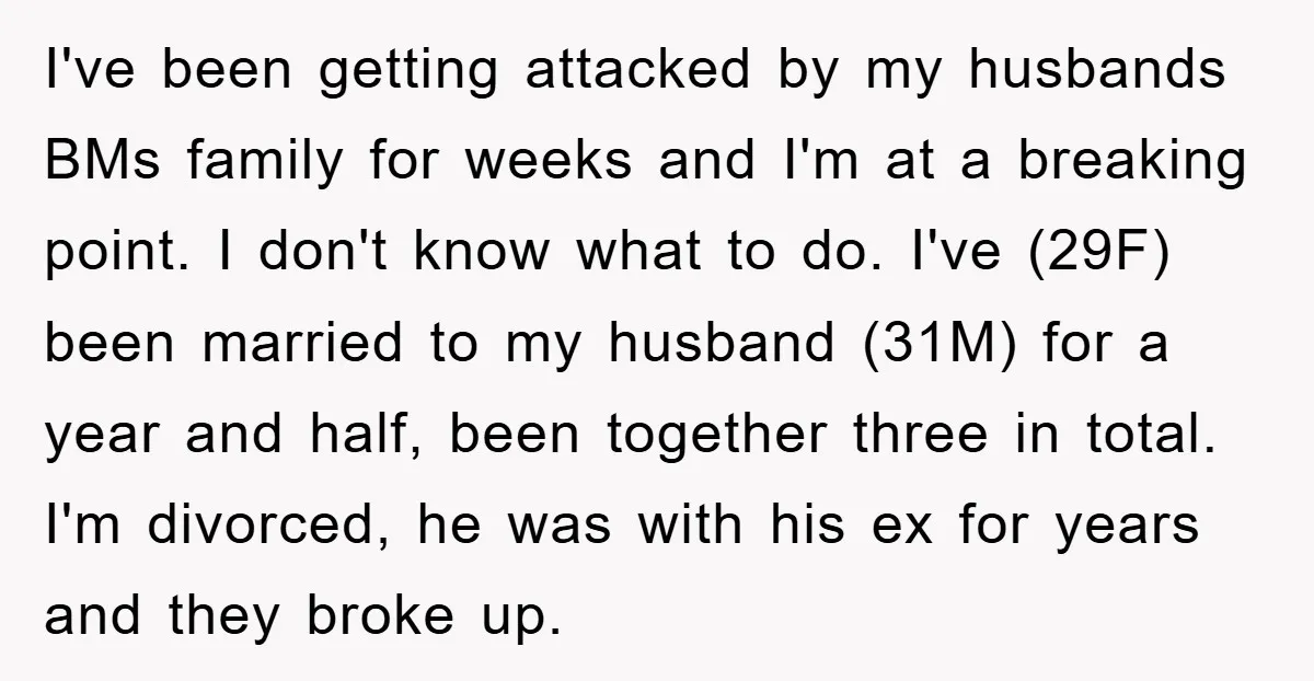 I've been getting attacked by my husbands BMs family for weeks and I'm at a breaking point. I don't know what to do. I've (29F) been married to my husband...