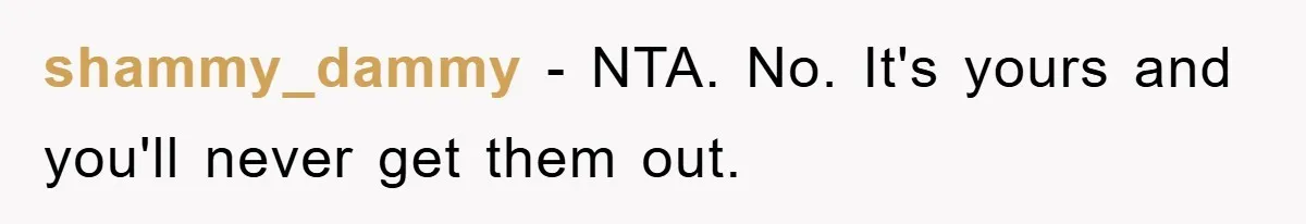 shammy_dammy − NTA. No. It's yours and you'll never get them out.