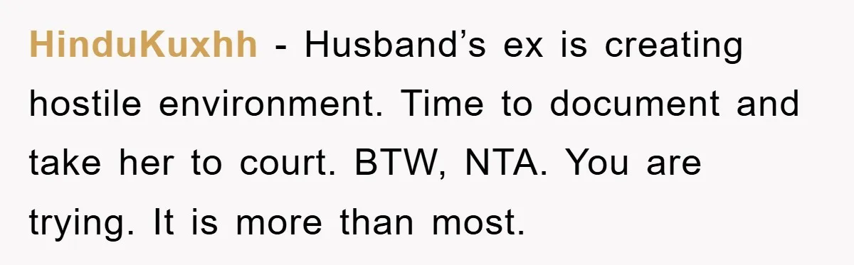 HinduKuxhh − Husband’s ex is creating hostile environment. Time to document and take her to court. BTW, NTA. You are trying. It is more than most.