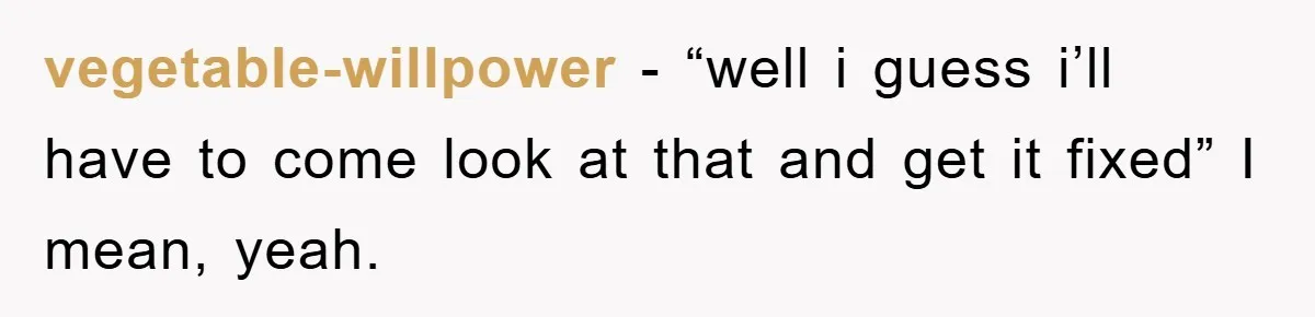 vegetable-willpower − “well i guess i’ll have to come look at that and get it fixed” I mean, yeah.