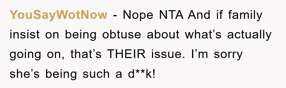 YouSayWotNow − Nope NTA And if family insist on being obtuse about what’s actually going on, that’s THEIR issue. I’m sorry she’s being such a d**k!