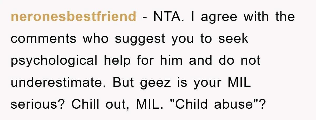 neronesbestfriend − NTA. I agree with the comments who suggest you to seek psychological help for him and do not underestimate. But geez is your MIL serious? Chill out, MIL....