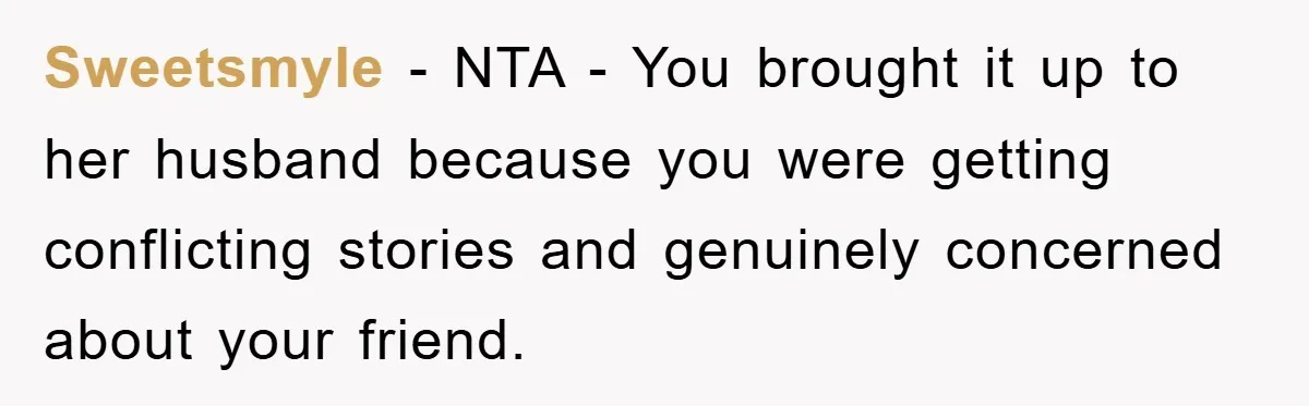 Sweetsmyle − NTA - You brought it up to her husband because you were getting conflicting stories and genuinely concerned about your friend.