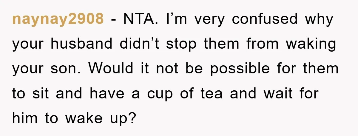 naynay2908 − NTA. I’m very confused why your husband didn’t stop them from waking your son. Would it not be possible for them to sit and have a cup of...