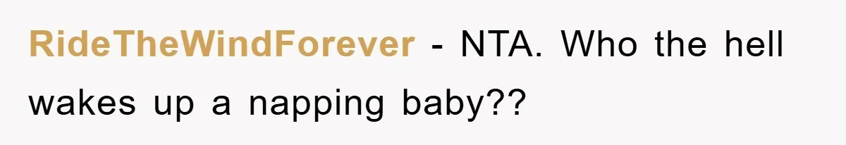 RideTheWindForever − NTA. Who the hell wakes up a napping baby??