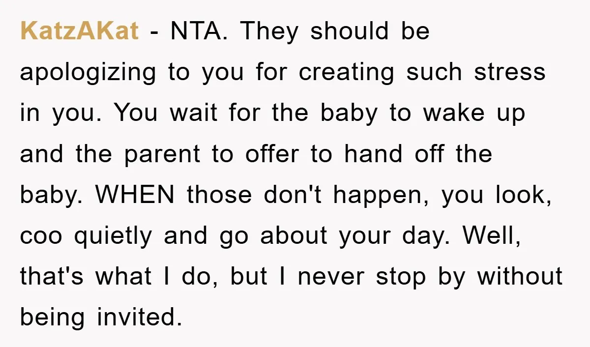 KatzAKat − NTA. They should be apologizing to you for creating such stress in you. You wait for the baby to wake up and the parent to offer to hand...