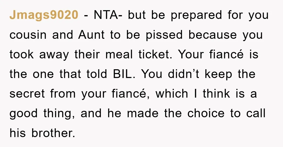 Jmags9020 − NTA- but be prepared for you cousin and Aunt to be pissed because you took away their meal ticket. Your fiancé is the one that told BIL. You...