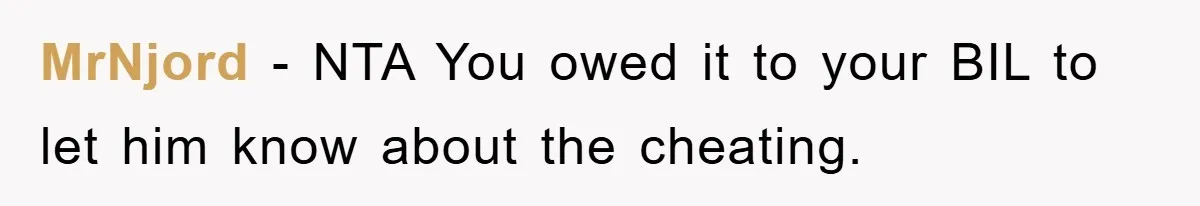MrNjord − NTA You owed it to your BIL to let him know about the cheating.
