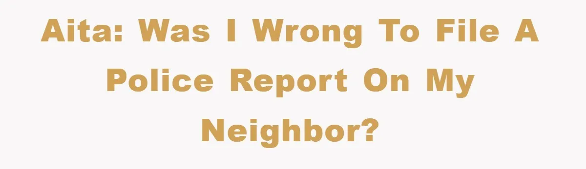 AITA: Was I wrong to file a police report on my neighbor?