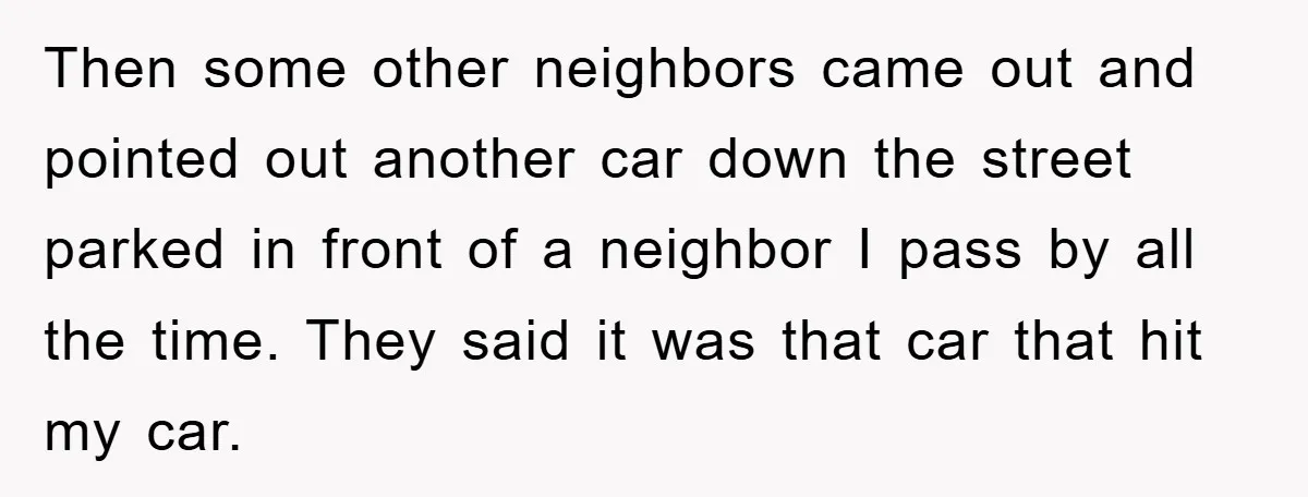 Then some other neighbors came out and pointed out another car down the street parked in front of a neighbor I pass by all the time. They said it was...