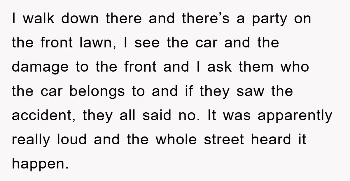 I walk down there and there’s a party on the front lawn, I see the car and the damage to the front and I ask them who the car belongs...