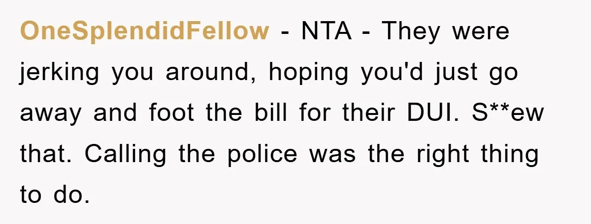OneSplendidFellow − NTA - They were jerking you around, hoping you'd just go away and foot the bill for their DUI. S**ew that. Calling the police was the right thing...