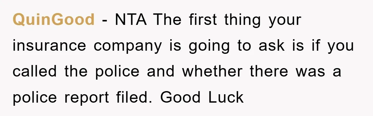 QuinGood − NTA The first thing your insurance company is going to ask is if you called the police and whether there was a police report filed. Good Luck