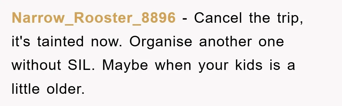 Narrow_Rooster_8896 − Cancel the trip, it's tainted now. Organise another one without SIL. Maybe when your kids is a little older.
