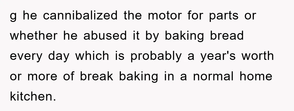 g he cannibalized the motor for parts or whether he abused it by baking bread every day which is probably a year's worth or more of break baking in a...