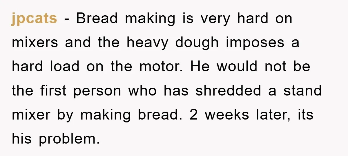 jpcats − Bread making is very hard on mixers and the heavy dough imposes a hard load on the motor. He would not be the first person who has shredded...