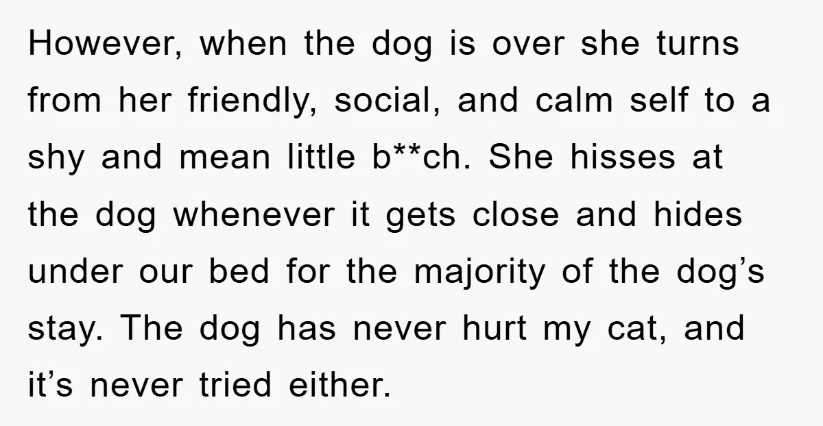 However, when the dog is over she turns from her friendly, social, and calm self to a shy and mean little b**ch. She hisses at the dog whenever it gets...