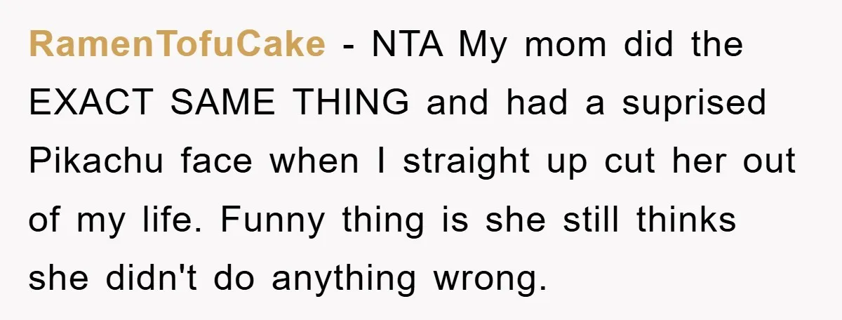 RamenTofuCake − NTA My mom did the EXACT SAME THING and had a suprised Pikachu face when I straight up cut her out of my life. Funny thing is she...