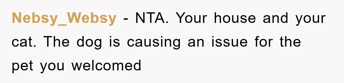 Nebsy_Websy − NTA. Your house and your cat. The dog is causing an issue for the pet you welcomed