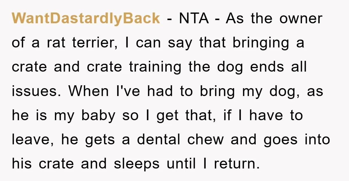 WantDastardlyBack − NTA - As the owner of a rat terrier, I can say that bringing a crate and crate training the dog ends all issues. When I've had to...