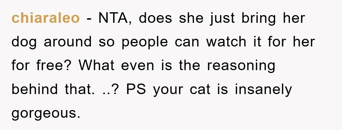 chiaraleo − NTA, does she just bring her dog around so people can watch it for her for free? What even is the reasoning behind that. ..? PS your cat...