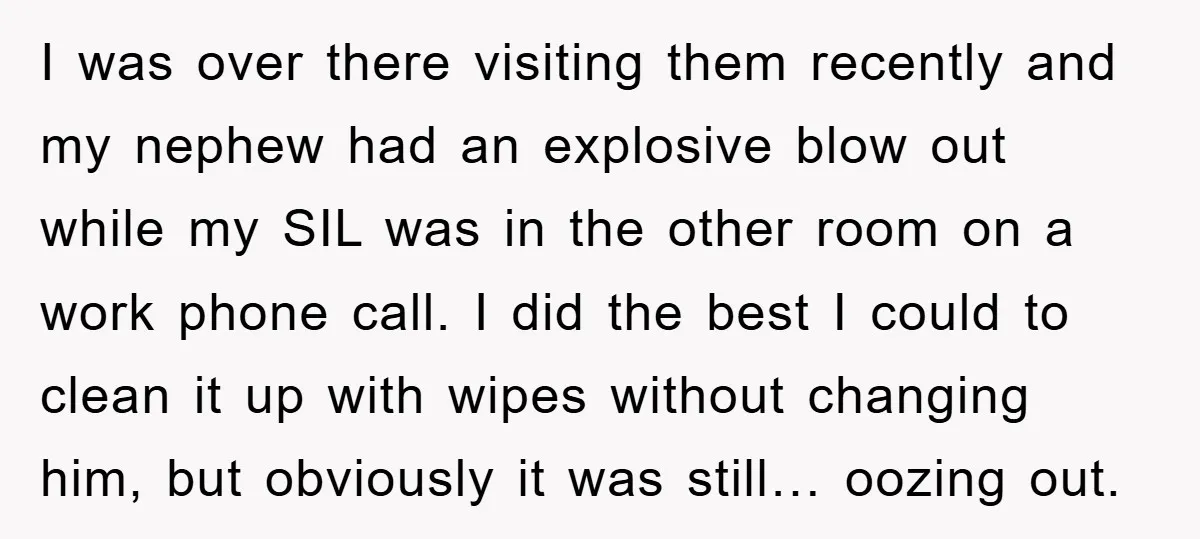 I was over there visiting them recently and my nephew had an explosive blow out while my SIL was in the other room on a work phone call. I did...