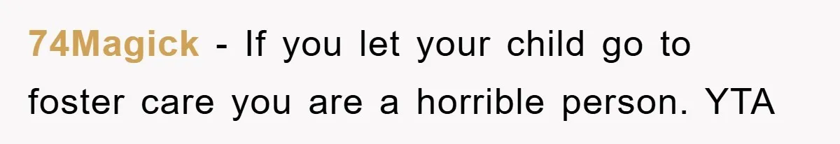 74Magick − If you let your child go to foster care you are a horrible person. YTA