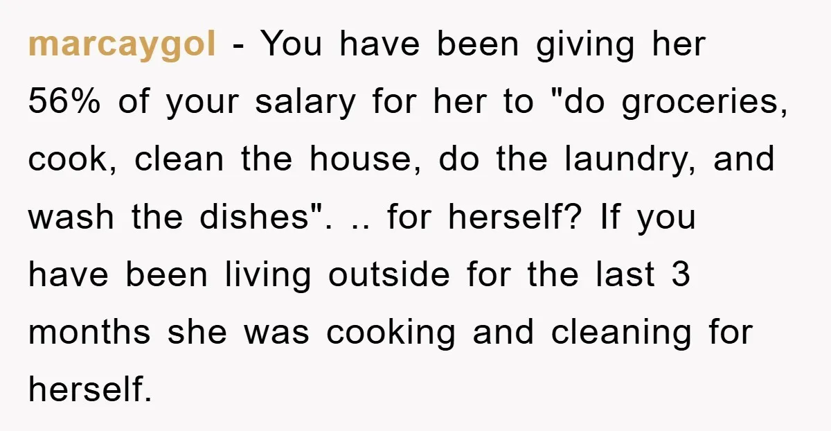 marcaygol − You have been giving her 56% of your salary for her to "do groceries, cook, clean the house, do the laundry, and wash the dishes". .. for herself?...