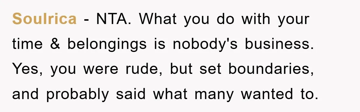 Soulrica − NTA. What you do with your time & belongings is nobody's business. Yes, you were rude, but set boundaries, and probably said what many wanted to.