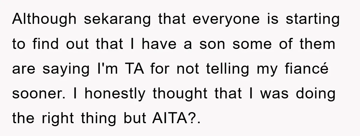 Although sekarang that everyone is starting to find out that I have a son some of them are saying I'm TA for not telling my fiancé sooner. I honestly thought...