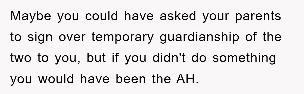 Maybe you could have asked your parents to sign over temporary guardianship of the two to you, but if you didn't do something you would have been the AH.