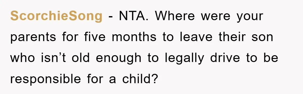 ScorchieSong − NTA. Where were your parents for five months to leave their son who isn’t old enough to legally drive to be responsible for a child?
