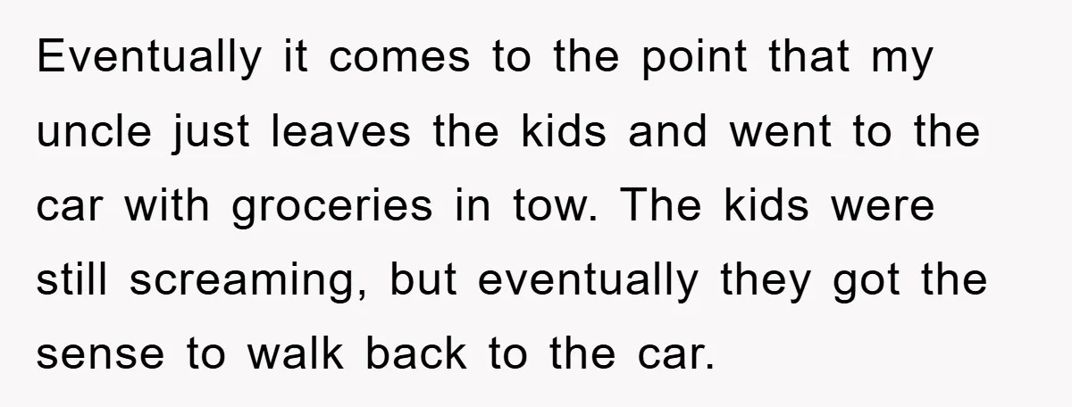 Eventually it comes to the point that my uncle just leaves the kids and went to the car with groceries in tow. The kids were still screaming, but eventually they...