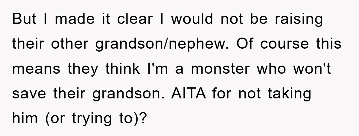 But I made it clear I would not be raising their other grandson/nephew. Of course this means they think I'm a monster who won't save their grandson. AITA for not...