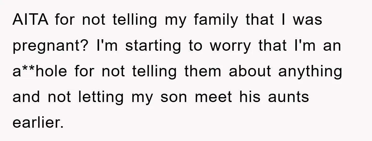 AITA for not telling my family that I was pregnant? I'm starting to worry that I'm an a**hole for not telling them about anything and not letting my son meet...