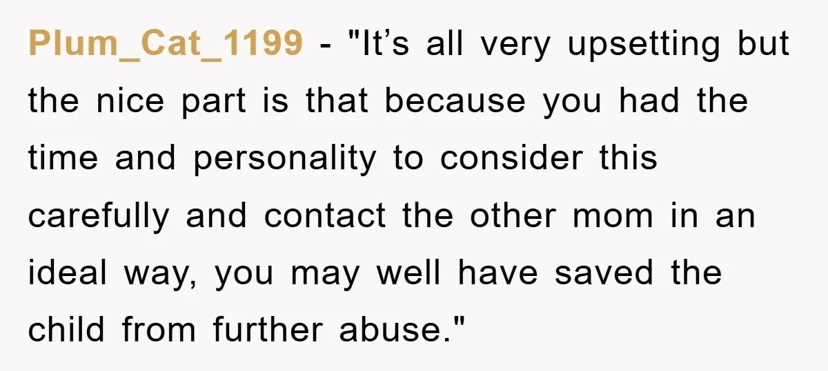 Plum_Cat_1199 - "It’s all very upsetting but the nice part is that because you had the time and personality to consider this carefully and contact the other mom in an...