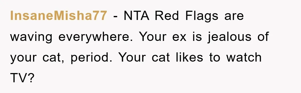 InsaneMisha77 − NTA Red Flags are waving everywhere. Your ex is jealous of your cat, period. Your cat likes to watch TV?